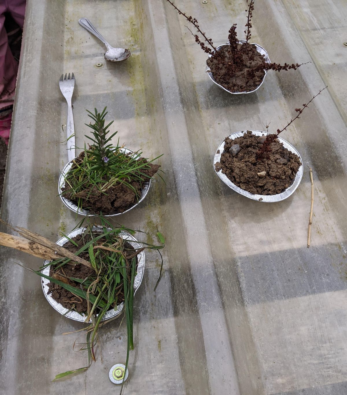 Nature play and mud pies at the farm