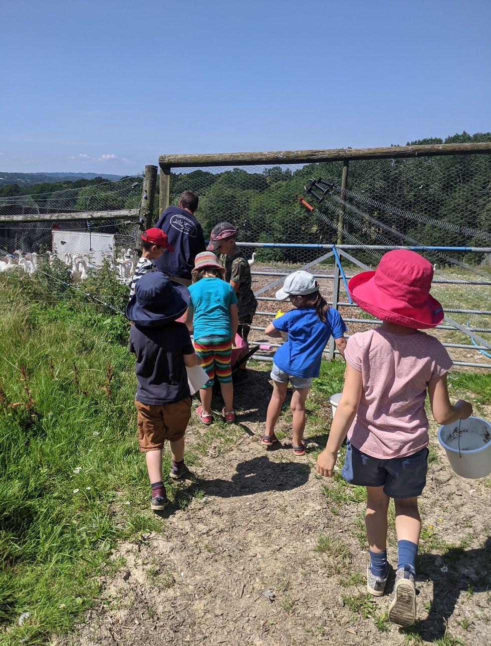 Children heading out to care for the farm animals