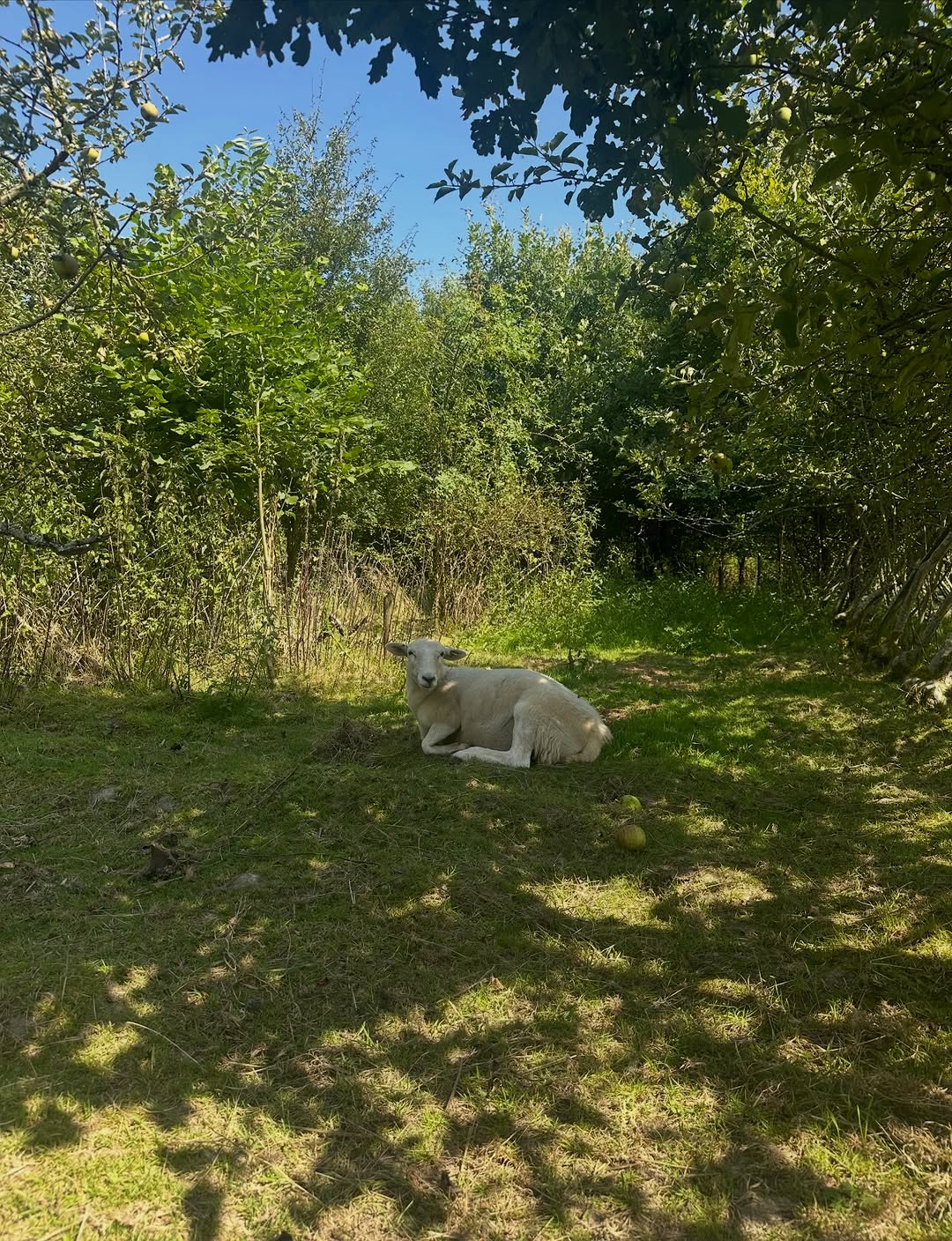 Brighter days ahead on the farm