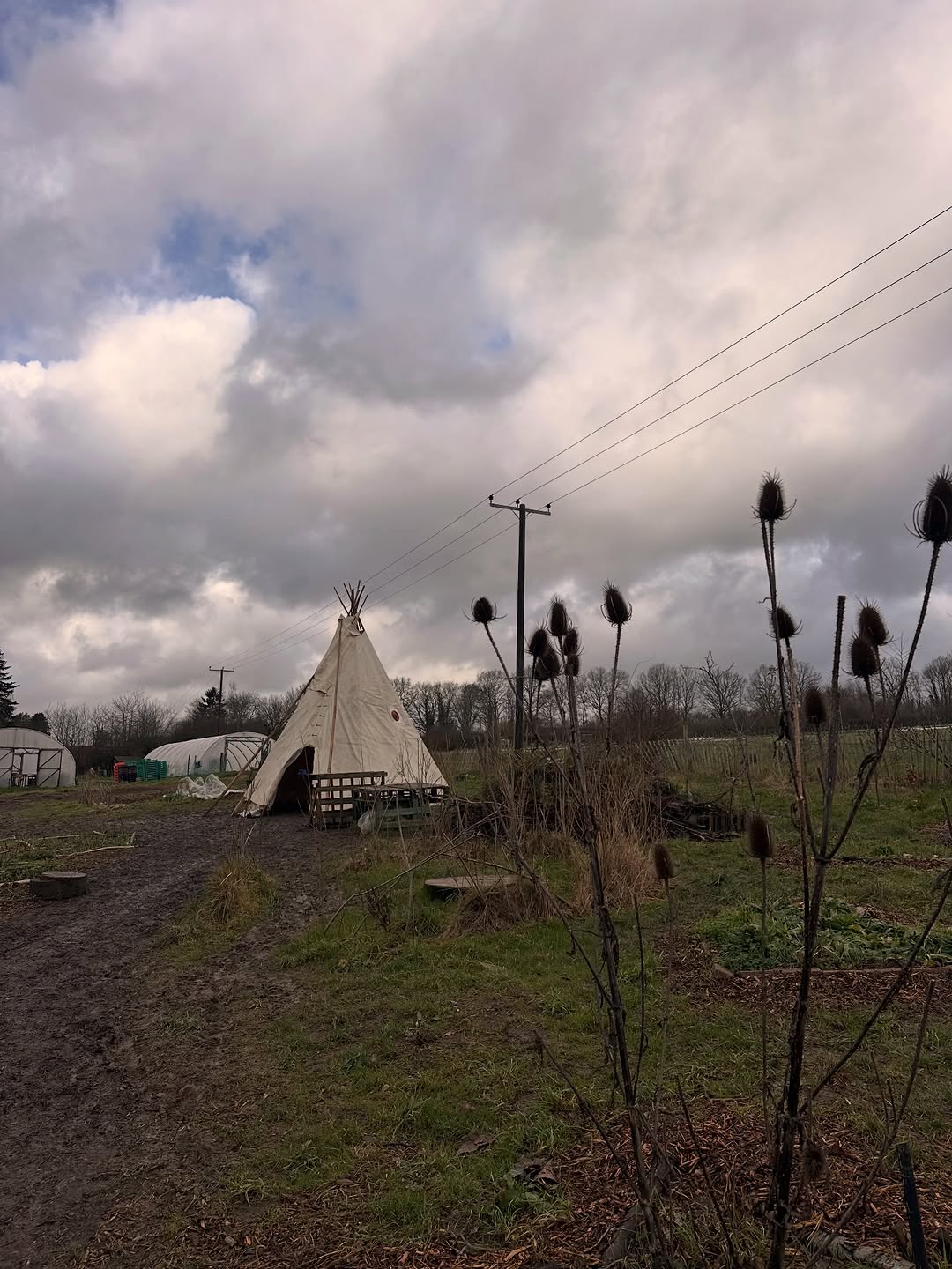 All hands on the plot - Farm Kids and Lets Grow in action
