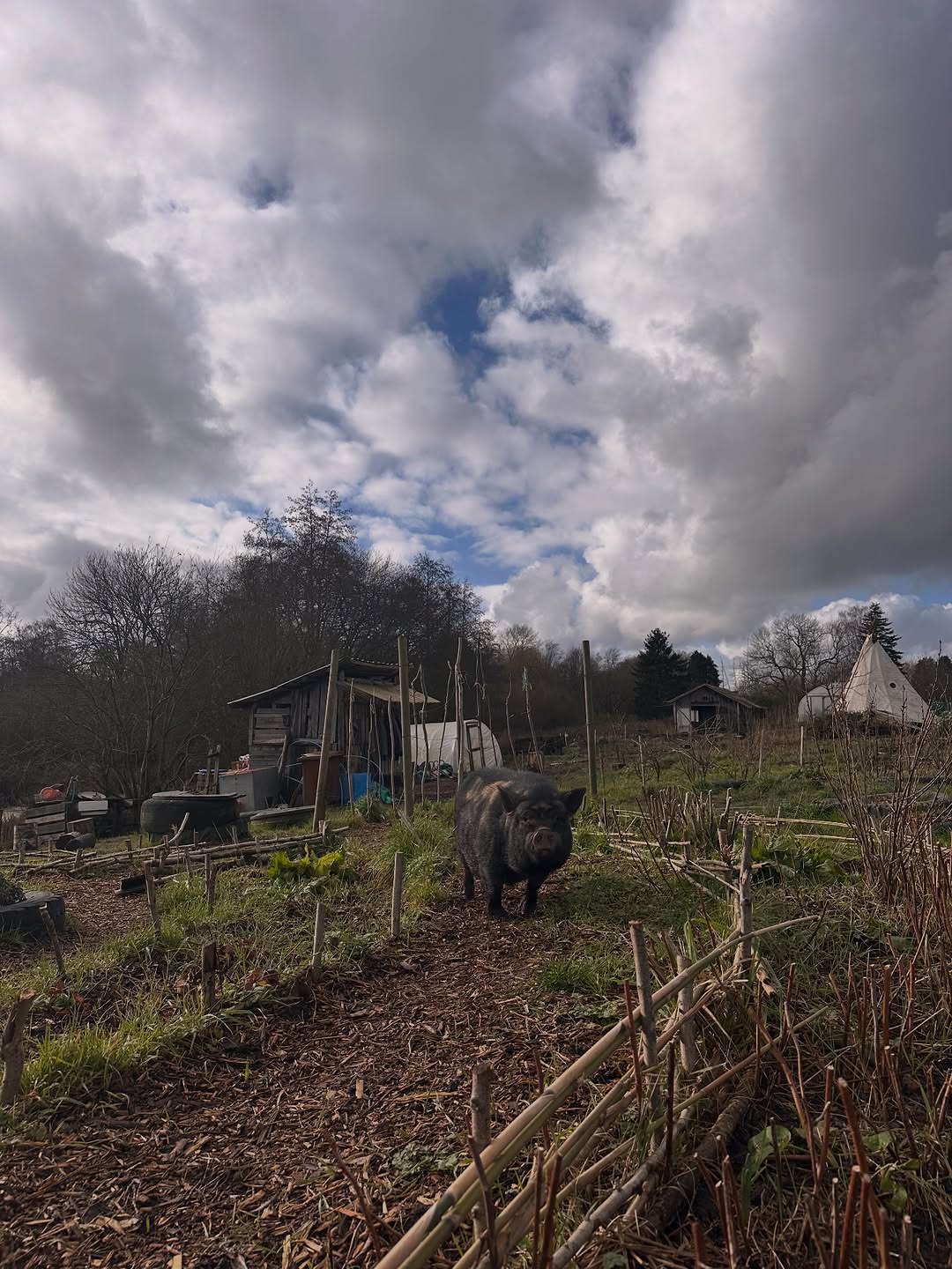 Life on the farm - something not quite right!