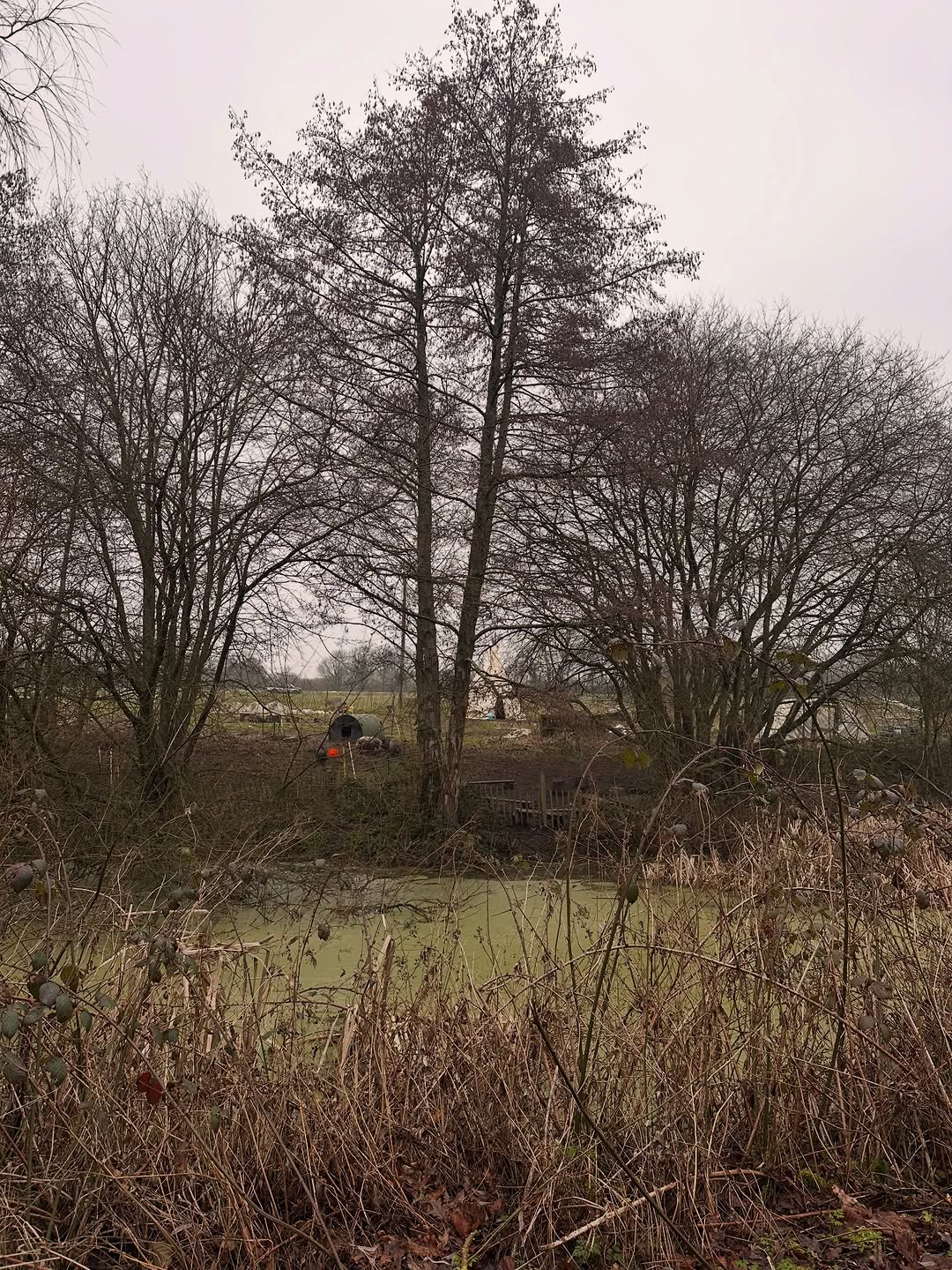 Wintry views across the farm