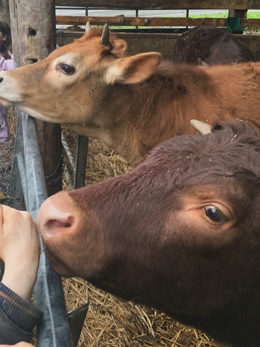 The plot alive again with the sounds of children